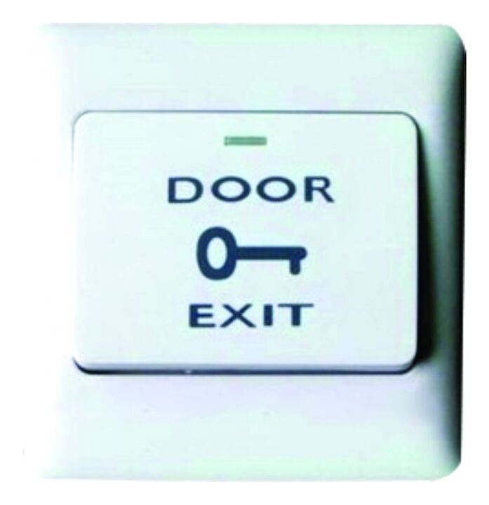 Plastic Deluxe Exit Switch