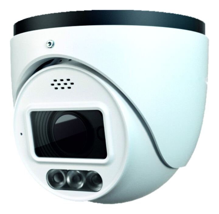 4MP Dual Illumination Colour Night View Fixed Dome IP Camera, Intrusion Deterrence
