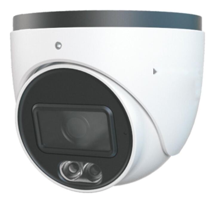 Video Surveillance