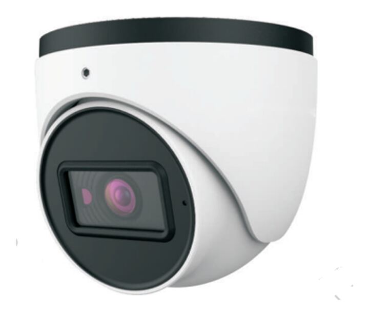 8MP Fixed Lens Dome IP Camera, variant 2